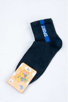 Шкарпетки для хлопчика демісезонні 